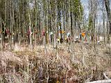 Lake Champlain Islands 008